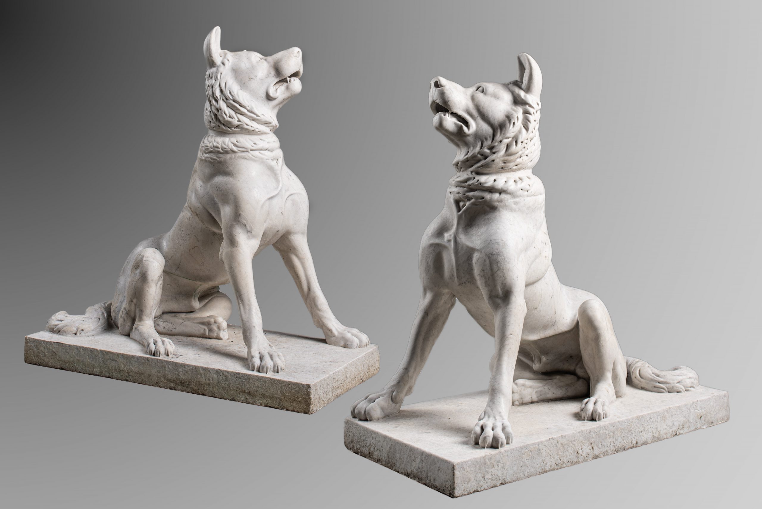 After the antique: An impressive pair of dogs of Alcibiades